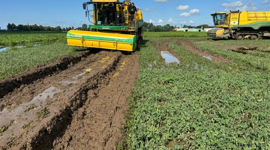 526882768_10227230892542903_1799745400140295096_n