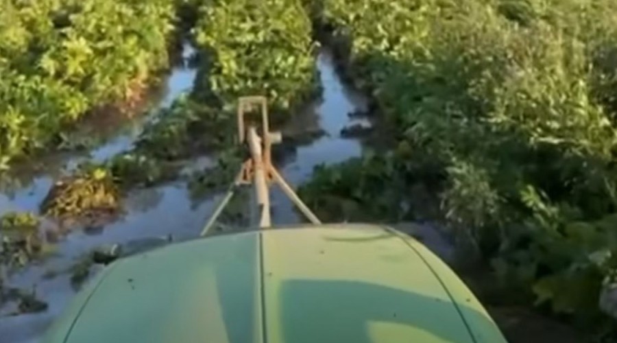 526984174_10227230909383324_1833828021608471610_n