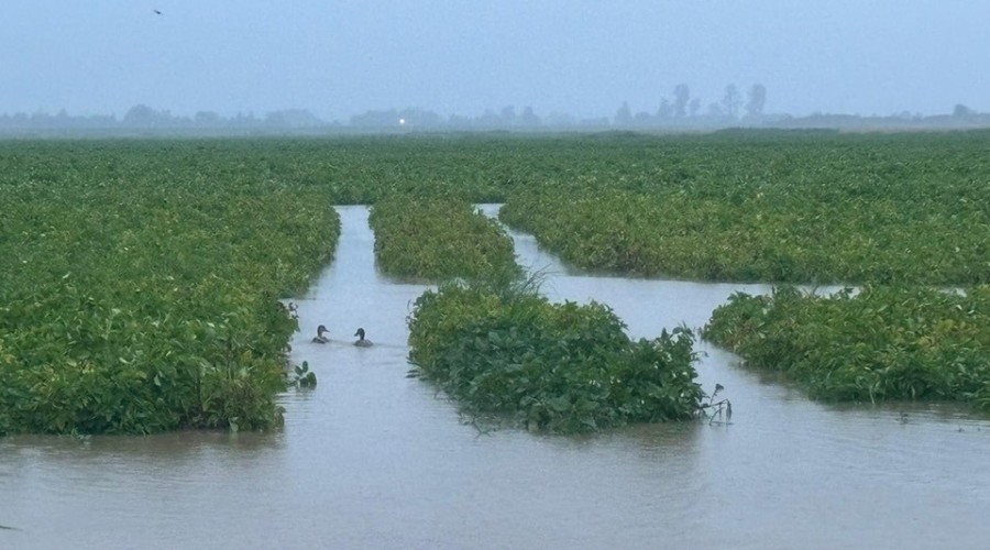 526989400_10227230890462851_5182898786809402191_n