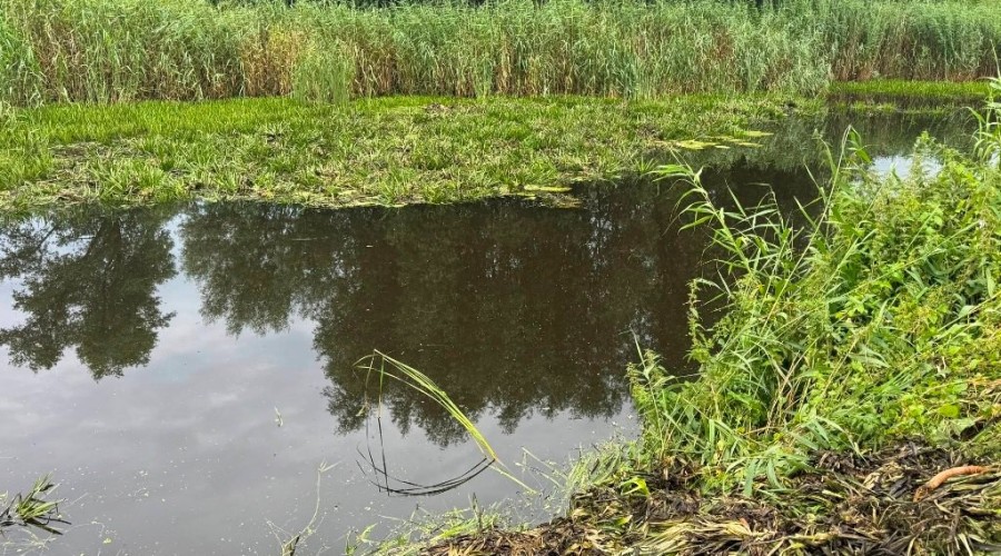 zuławy pod wodą (14)