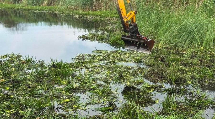 zuławy pod wodą (17)