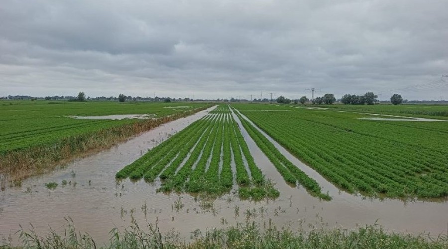 zuławy pod wodą (21)