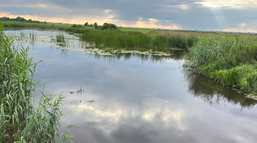 zuławy pod wodą (5)