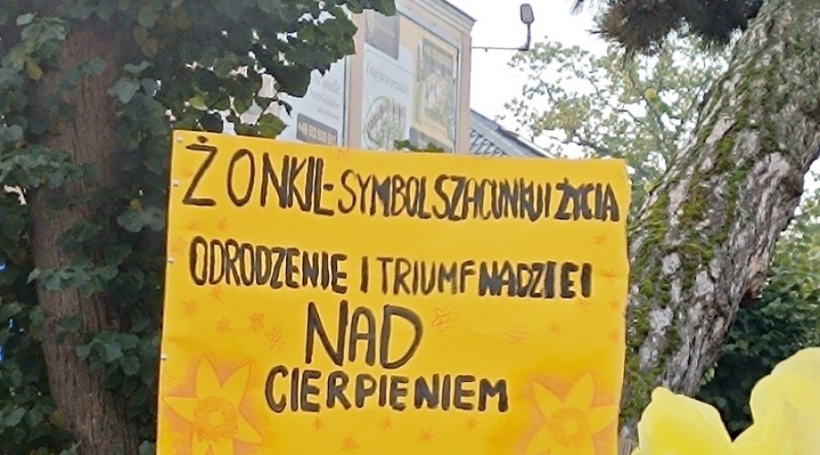 pola nadziei nowy dwor gd (10)