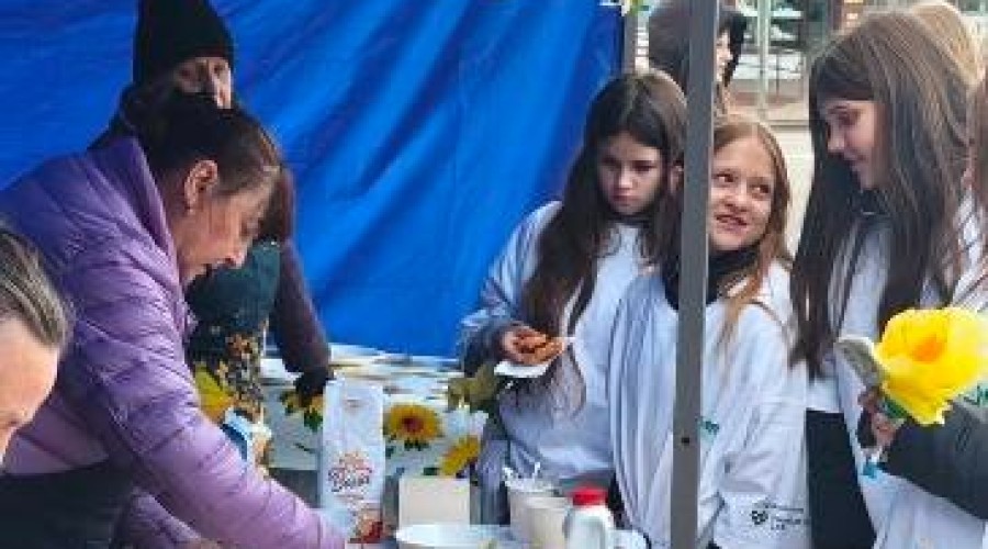 pola nadziei nowy dwor gd (16)