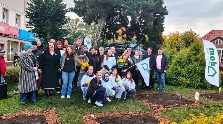 pola nadziei nowy dwor gd (17)