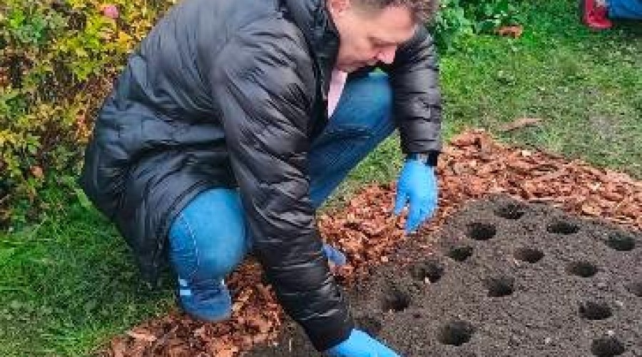 pola nadziei nowy dwor gd (22)