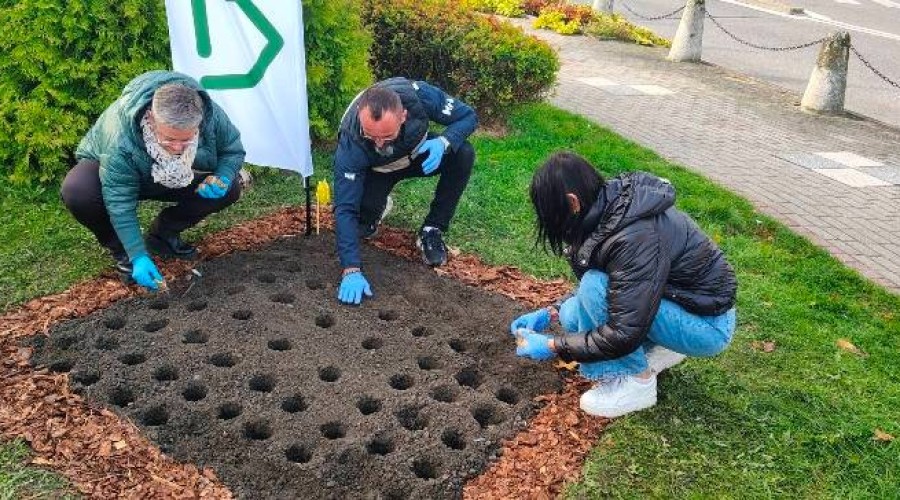 pola nadziei nowy dwor gd (23)