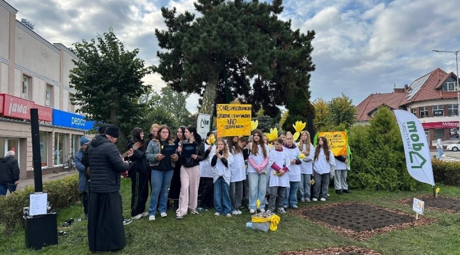 pola nadziei nowy dwor gd (4)