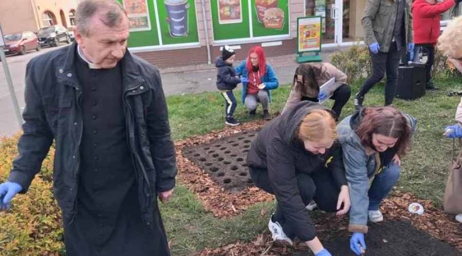 pola nadziei nowy dwor gd (6)