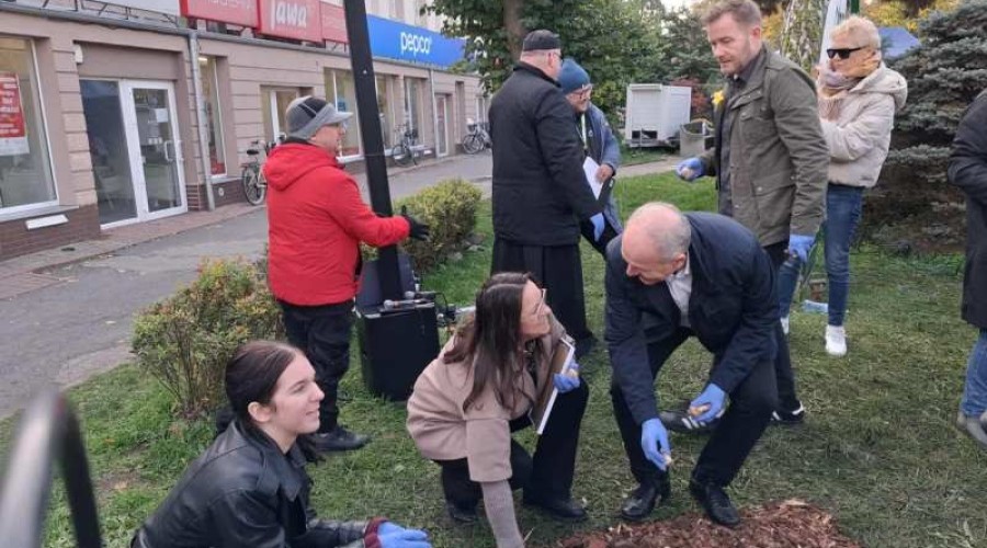 pola nadziei nowy dwor gd (8)