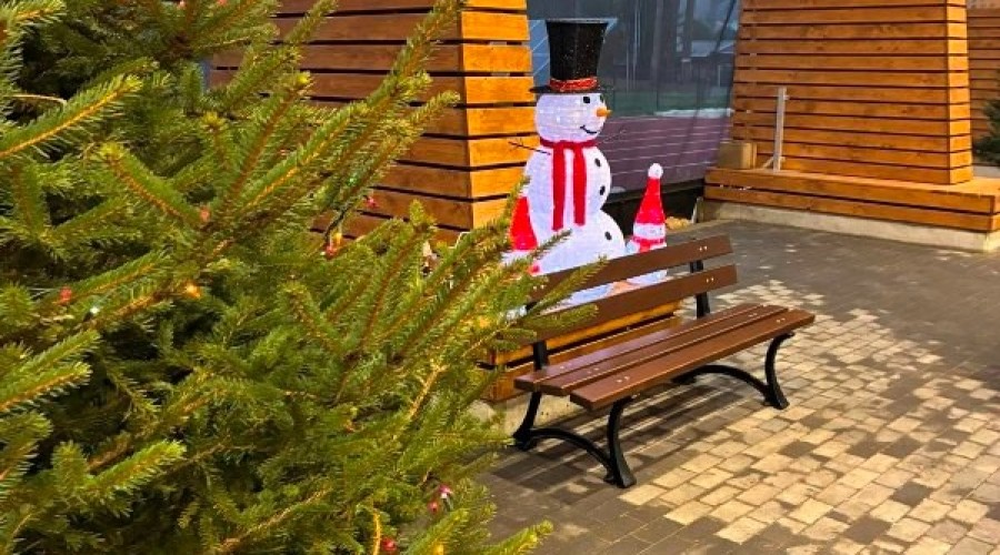 lodowisko stegna (4)