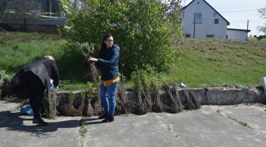 19.05.04 Piknik ekologiczny Sztutowo (2)