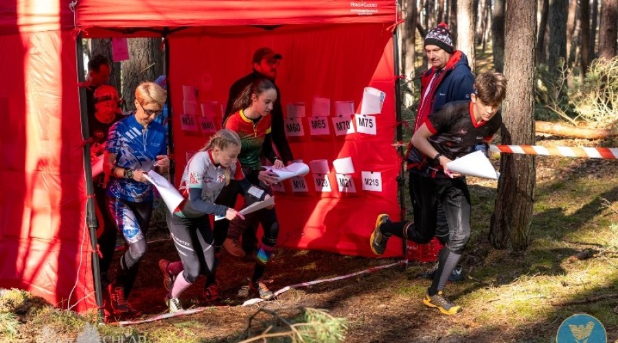 wyspa o cup sztutowo (11)