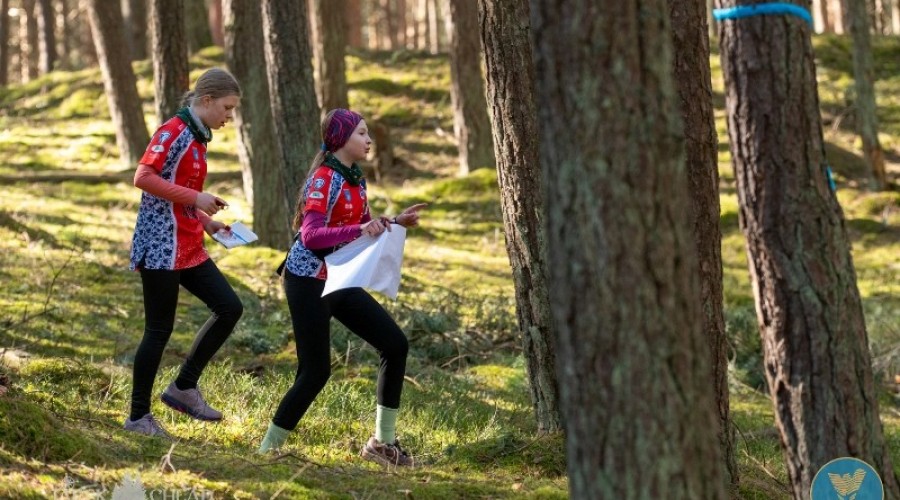 wyspa o cup sztutowo (2)