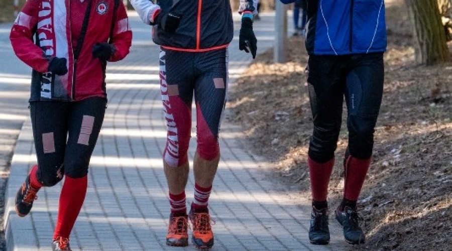 wyspa o cup sztutowo (28)