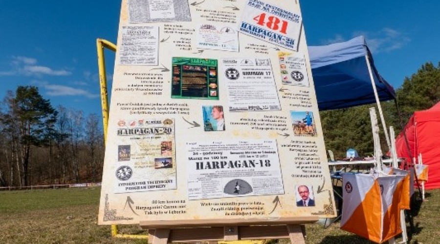 wyspa o cup sztutowo (33)