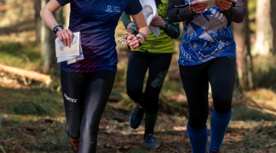 wyspa o cup sztutowo (4)