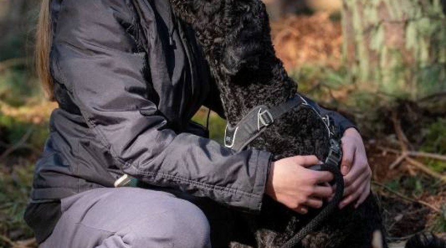 wyspa o cup sztutowo (40)