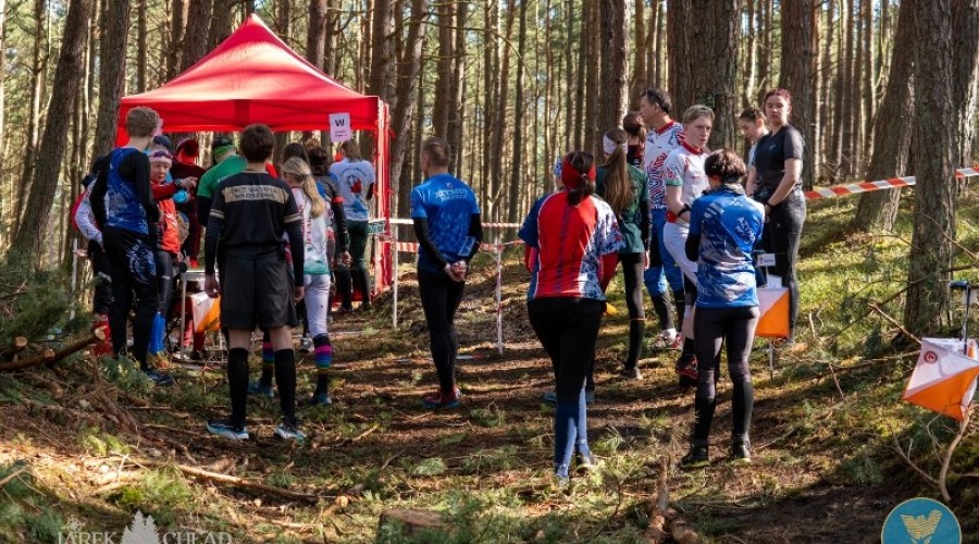 wyspa o cup sztutowo (5)