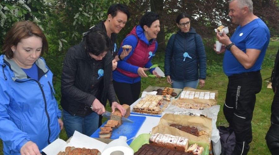 Niebieski piknik autyzm (100)