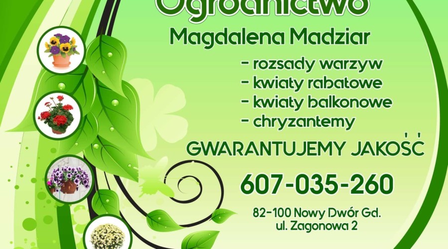 ogrodnictwo zagonowa nowy dwór gdański (23)