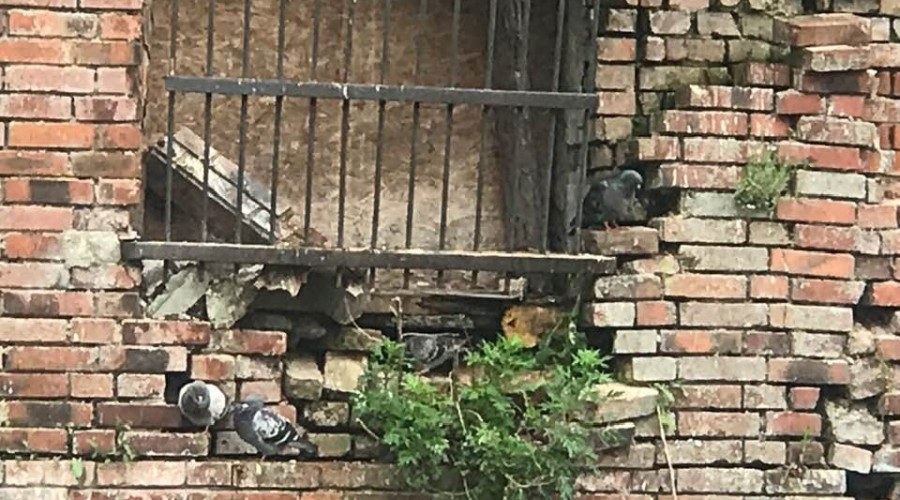 ściana wwodzie remont starostwo powiatowe (9)