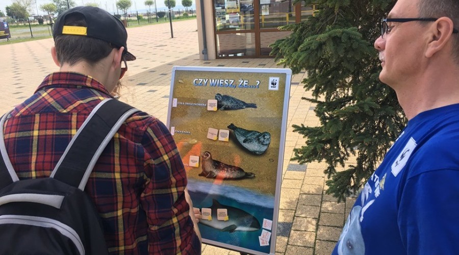 maratonix z głową (22)