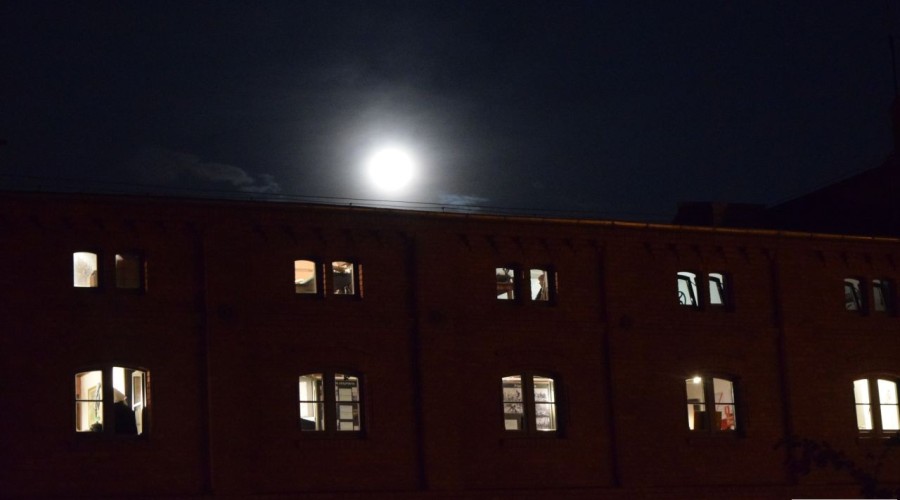 menonici noc muzeów (102)