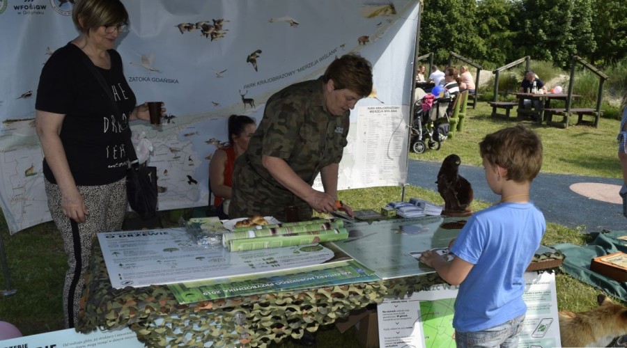 dzień dziecka i festyn sztutowo (103)