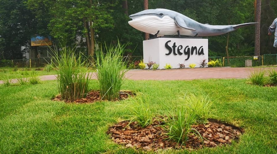 wieloryb w Stegnie (1)