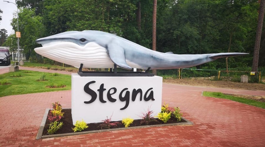 wieloryb w Stegnie (4)