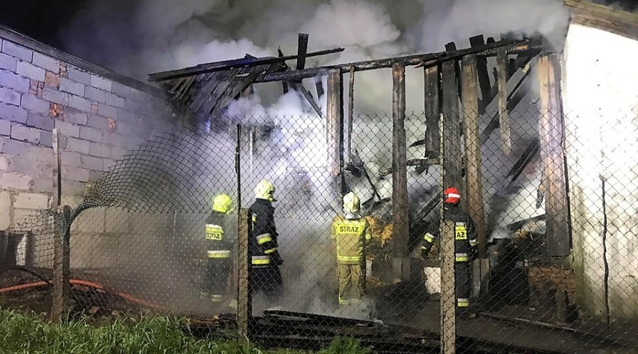 62475136_10213647690211334_7705540425628516352_n