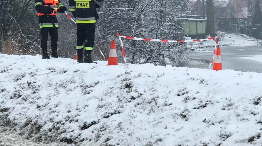 51245416_2155751098024333_2444423260050292736_n