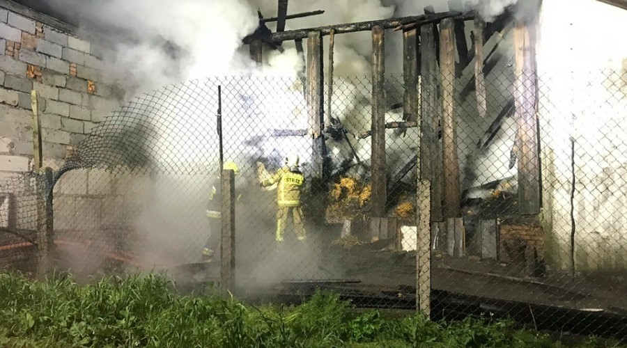 Rowerowy Maj 2019 (15)