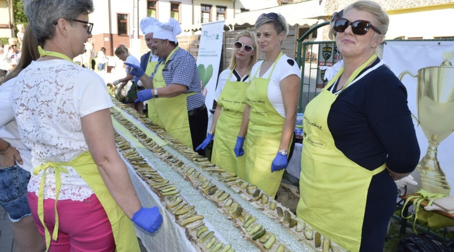 Dni Nowego Dworu Gdańskiego - 22.06 (32)