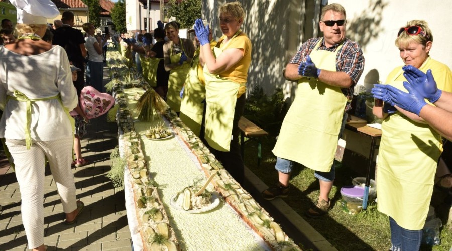 Dni Nowego Dworu Gdańskiego - 22.06 (39)