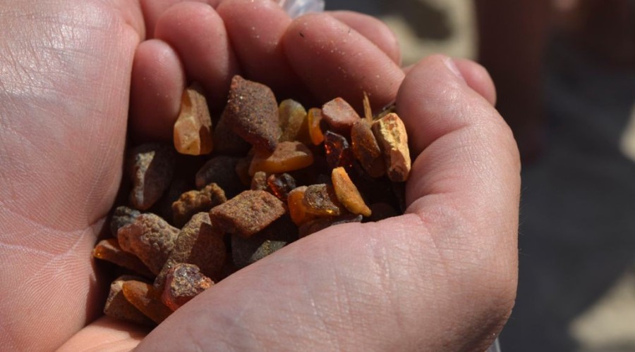 Jantar. XX Jubileuszowe Mistrzostwa świata w poławianiu bursztynu22