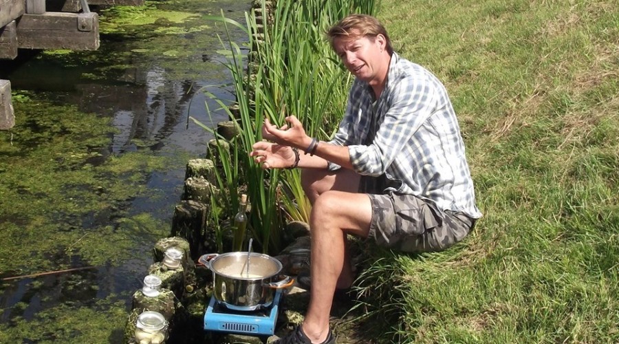 okrasa żuławy fot. jerzy złoty (8)