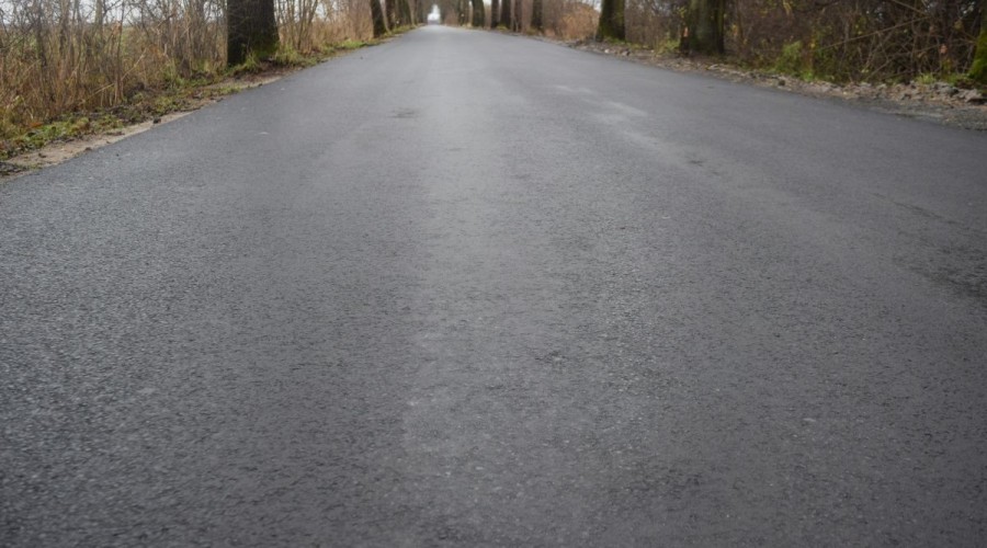 Odcinek Myszewko- Rychnowo Żuławskie (4)