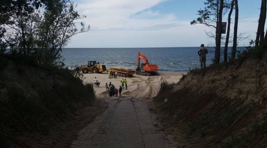 refulacja stegna (5)