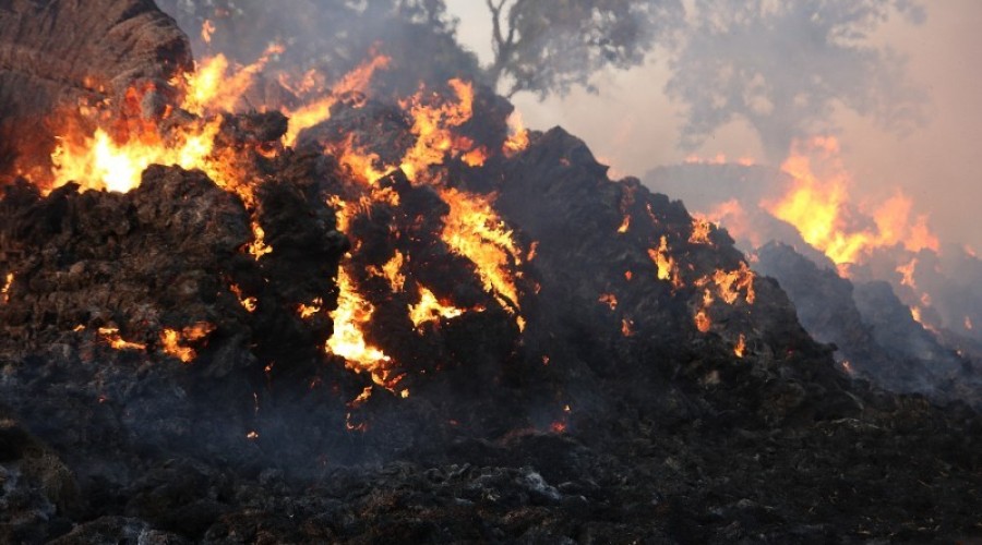 fot.Krzysztof Firko pożar sterty słomy (15)