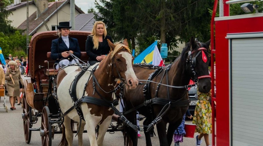 dożynki gminy sztutowo (2)