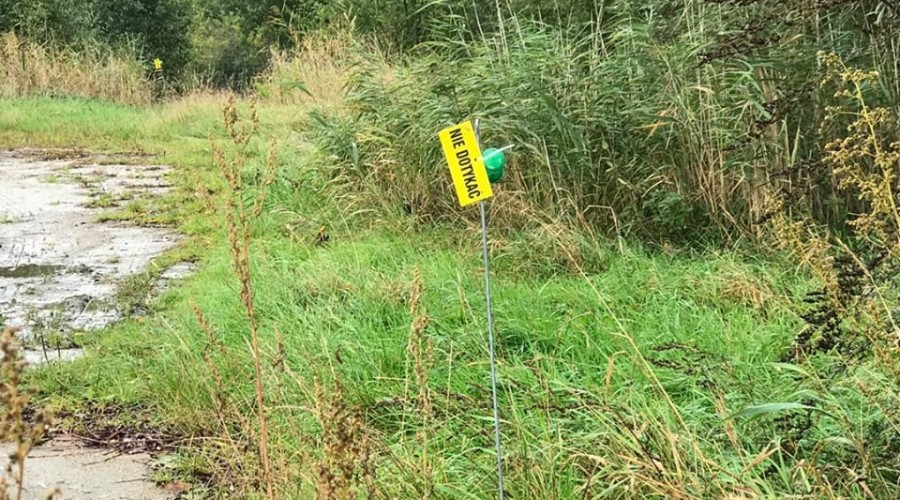 asf repelenty zapachowe (1)