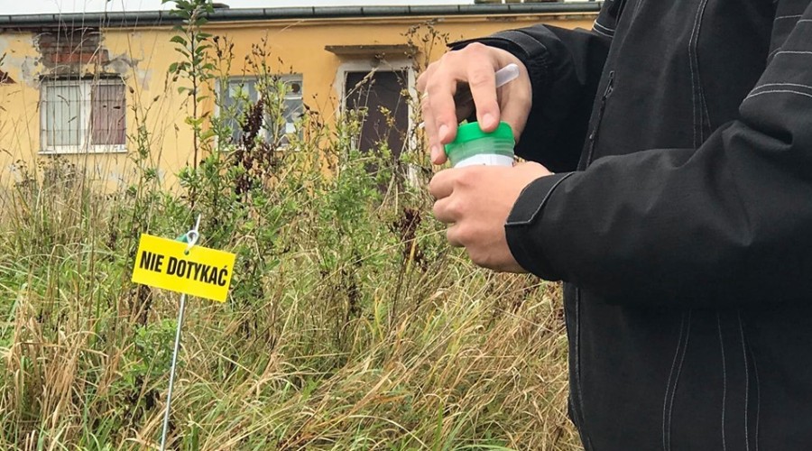 asf repelenty zapachowe (2)