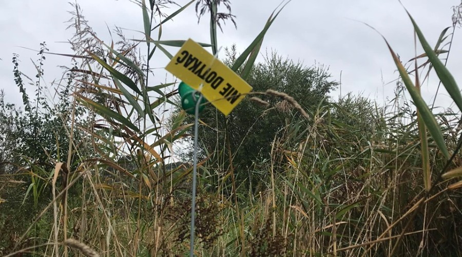 asf repelenty zapachowe (4)