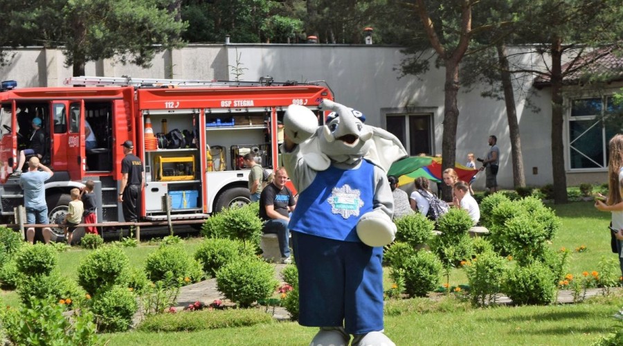 Stegna. Festyn zawody plywackie (7)