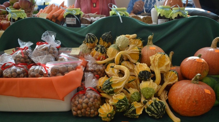 71181107_985330571830390_6976144580928339968_n