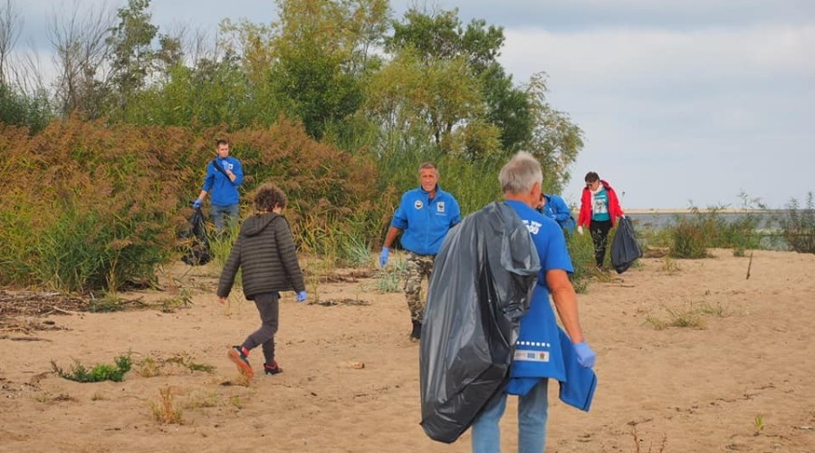 sprzątanie mewia łacha (2)