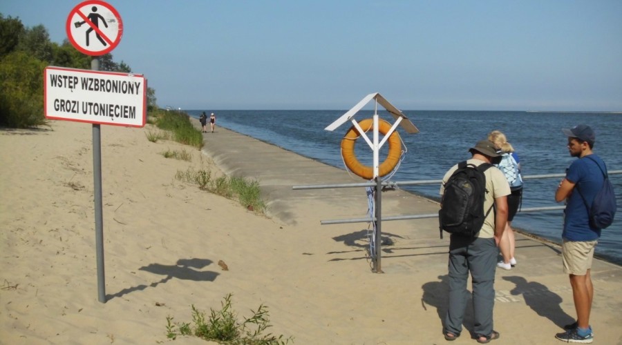 ujście wisły wwf polska (5)